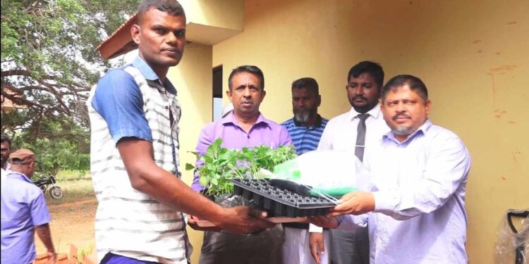 Mannaar மன்னார் முசலியில் இளைஞர் விவசாய தொழில் முனைவோர் கிராமம் அங்குரார்ப்பணம்.
