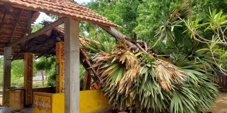 Jaffna யாழில் கடும் காற்று – 67 பேர் பாதிப்பு