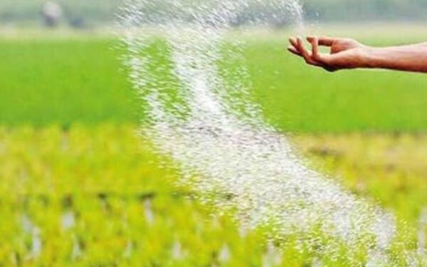 இளம் விவசாயிகளை ஊக்குவிக்க வேண்டும் – க.தியாகலிங்கம்
