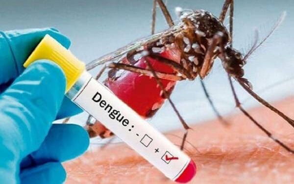 அதிகரித்து வரும் டெங்கு நோயாளர்கள் !