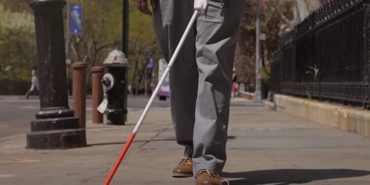 Jaffna சர்வதேச வெள்ளைப்பிரம்பு தினத்தை முன்னிட்டு யாழில் நடைபவணி.