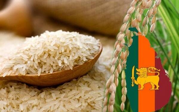 நெல் மற்றும் அரிசி கையிருப்பு அறிக்கை நாளை ஜனாதிபதியிடம் கையளிக்கப்படவுள்ளது