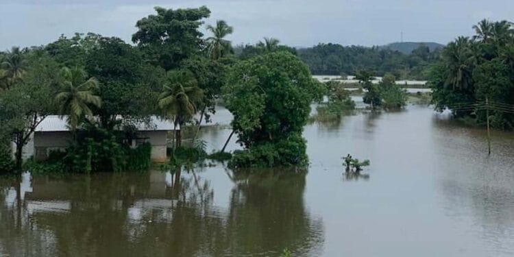 வவுனியா வவுனியாவில் தொடர் மழை காரணமாக 7 குடும்பங்களைச் சேர்ந்த 24 பேர் பாதிப்பு!