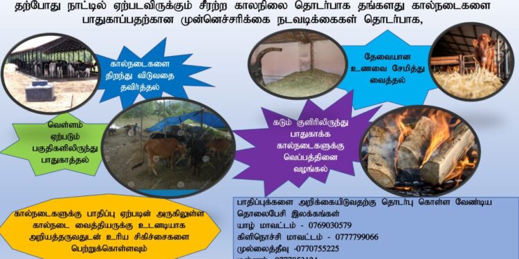 வடமாகாண கால்நடை உற்பத்தி சுகாதார திணைக்களத்தின் அறிவிப்பு.
