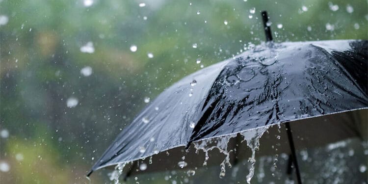 யாழில் இரு வாரங்களில் 697.4 மில்லி மீற்றர் மழை.