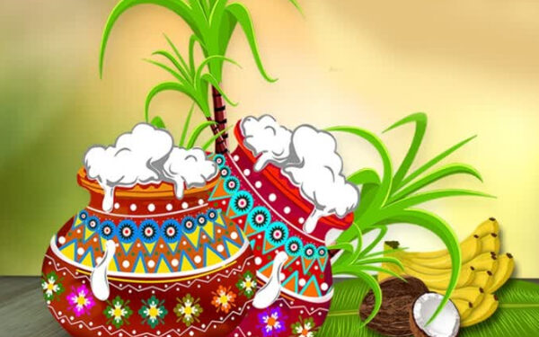 யாழில் நாளை தேசிய பொங்கல் விழா.