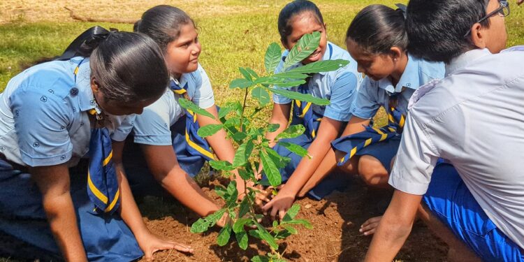 வவுனியா சமுதாயப் பொலிஸ் குழுவின் ஏற்பாட்டில் மரநடுகை.