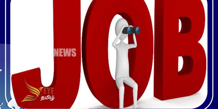 கனடாவில் இரண்டு லட்சம் பேருக்கு வேலை வாய்ப்பு …
