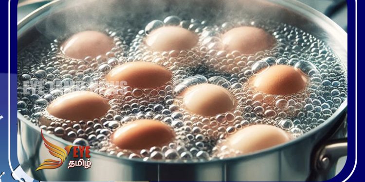 முட்டை வேக வைத்த நீரில் உள்ள நன்மைகள் பற்றி தெரியுமா …