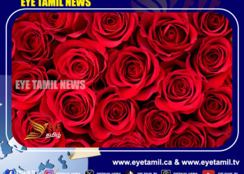 ரோஜாவின் மருத்துவ குணத்தை அறிந்து கொள்ளுங்கள் ….