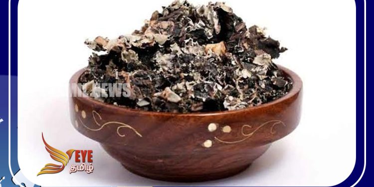 கல்பாசியில் இருக்கும் நன்மைகள்..!