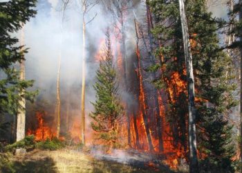 தென்கிழக்கு மனிடோபாவில் பாரிய காட்டுத்தீ