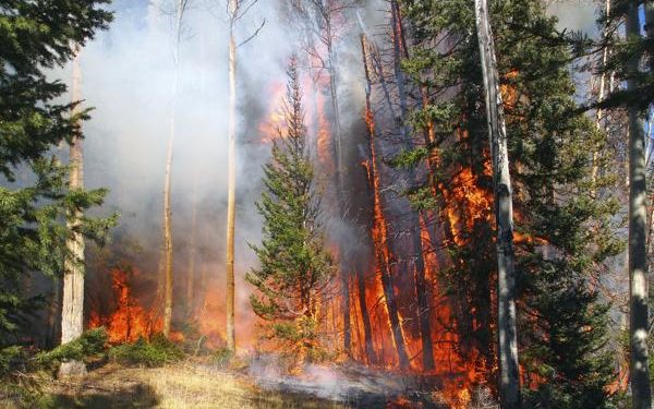 தென்கிழக்கு மனிடோபாவில் பாரிய காட்டுத்தீ