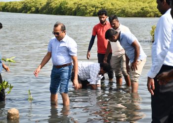 மண்டைதீவில் கண்டல் தாவரங்களை நாட்டிய அமைச்சர்கள்!