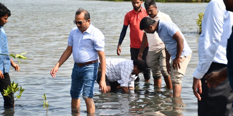 மண்டைதீவில் கண்டல் தாவரங்களை நாட்டிய அமைச்சர்கள்!