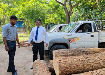 வவுனியாவில் மரக்கடத்தல் முறியடிப்பு