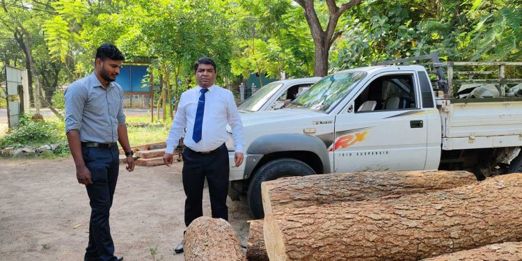 வவுனியாவில் மரக்கடத்தல் முறியடிப்பு