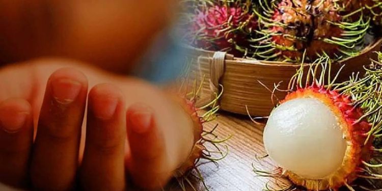 ரம்புட்டான் விதை தொண்டையில் சிக்கி சிறுவன் பலி!