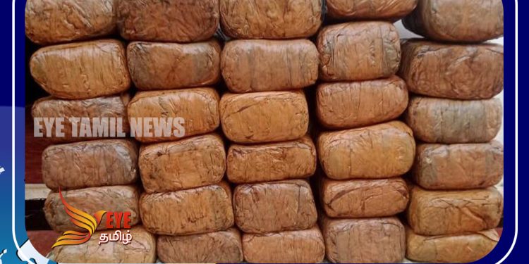 யாழில் பெருந்தொகையான கேரளா கஞ்சா மீட்பு!