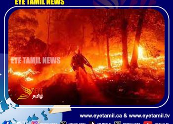 நியூஃபவுண்ட்லாந்து மாகாணத்தில் பரவி வரும் கட்டு தீயால் மக்கள் வெளியேற்றம்!