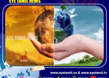 ஒன்டாரியோ மாகாணத்தில் ஏற்பட்ட வெப்ப அலைகளால் விவசாயிகள்பாதிப்பு!