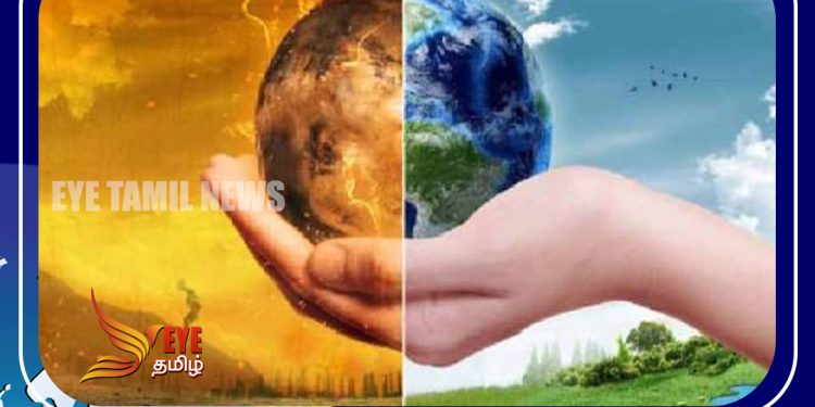 ஒன்டாரியோ மாகாணத்தில் ஏற்பட்ட வெப்ப அலைகளால் விவசாயிகள்பாதிப்பு!