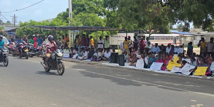 மன்னாரில் காற்றாலைக்கு எதிராக 10 வது நாளாக தொடர் போராட்டம்