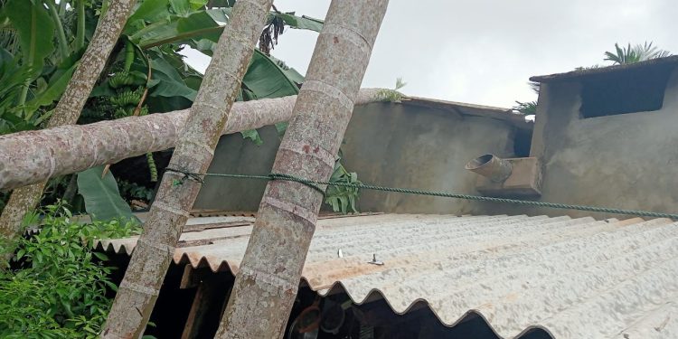 யாழில் அதிக மழையால் – 14 பேர் பாதிப்பு 04 வீடுகள் சேதம்