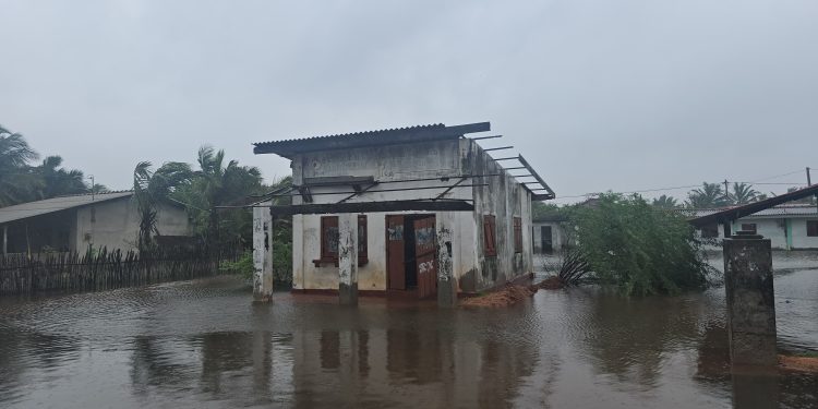 மன்னாரில் 24 ஆயிரத்து 331 குடும்பங்கள் பாதிப்பு