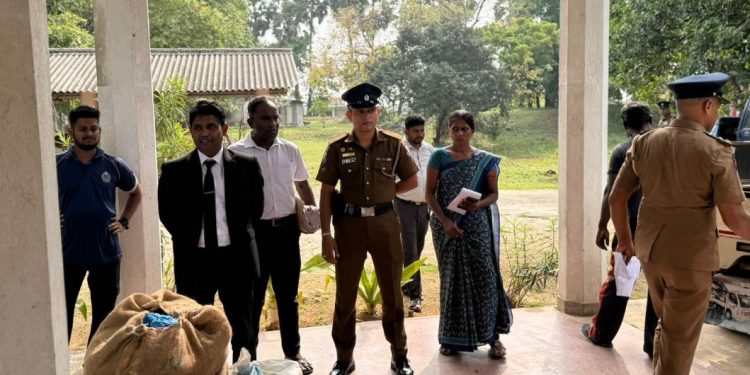 யாழில் 950 கிலோ கஞ்சா தீயிட்டு அழிப்பு