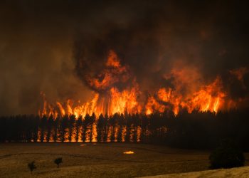 அவுஸ்திரேலியாவில் காட்டுத்தீ