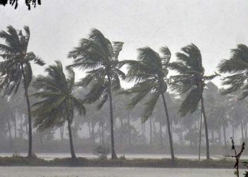 நாட்டில் கடும் காற்று வீசக்கூடும் – வளிமண்டலவியல் திணைக்களம்