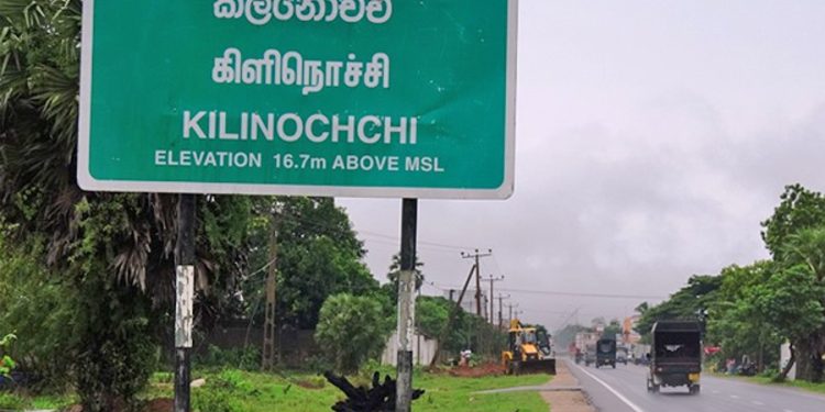 கிளிநொச்சியில் வர்த்தக நிலையம் மீது முறிந்து வீழ்ந்த பாலை மரம்