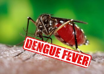 நாட்டில் முன்னெடுக்கப்பட்டுள்ள டெங்கு ஒழிப்பு வேலைத்திட்டம்