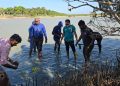 மன்னாரில் இடம்பெற்ற  கண்டல் தாவர நடுகை நிகழ்வு