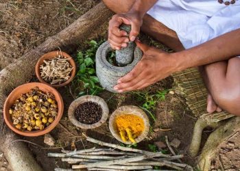 தர்மபுரம் பகுதியில் திறந்து வைக்கப்பட்ட ஆயுர்வேத வைத்தியசாலை