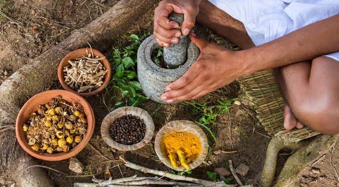 தர்மபுரம் பகுதியில் திறந்து வைக்கப்பட்ட ஆயுர்வேத வைத்தியசாலை