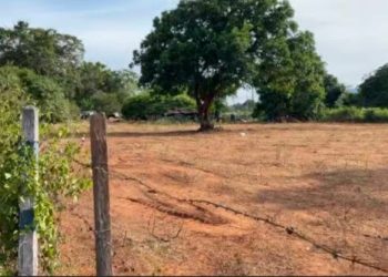 யாழில். தனியார் காணிகளை கையகப்படுத்த முயலும்  மோசடி கும்பல்