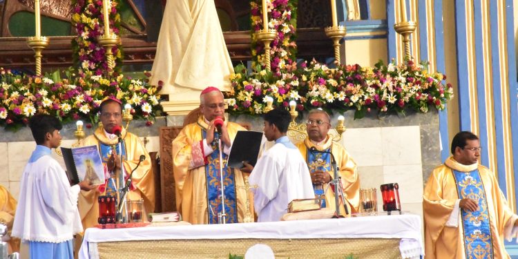 மன்னார் மடு திருத்தல ஆடிமாத திருவிழா: லட்சக்கணக்கான பக்தர்கள் பங்கேற்பு!