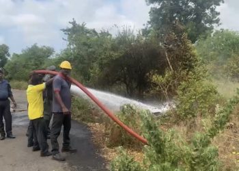 காங்கேசன்துறையில்  வெற்றுக்காணிக்குள் பரவிய  திடீர் தீ