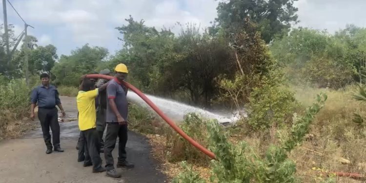 காங்கேசன்துறையில்  வெற்றுக்காணிக்குள் பரவிய  திடீர் தீ