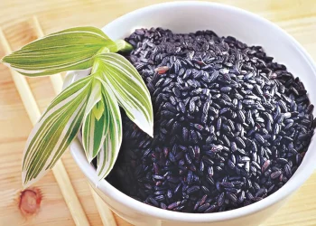 புற்றுநோயை எதிர்த்துப் போராடும் கருப்பு கவுனி அரிசி