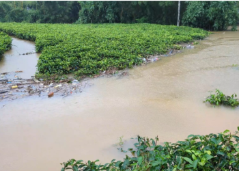 கொட்டகலை  லொக்கில் பகுதியில் வெள்ளம் –   40 குடும்பங்கள் பாதிப்பு