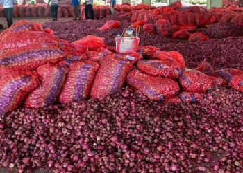 வெங்காய விலை உயர்வு : கிலோ ரூ.35-க்கு விற்க மத்திய அரசு நடவடிக்கை