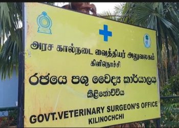 வடமாகாண அரச கால்நடை வைத்தியர்கள் மேற்கொண்டுள்ள பணிப்புறக்கணிப்பு