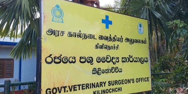 வடமாகாண அரச கால்நடை வைத்தியர்கள் மேற்கொண்டுள்ள பணிப்புறக்கணிப்பு
