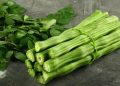 முருங்கைக்காயின் விலையில் வீழ்ச்சி