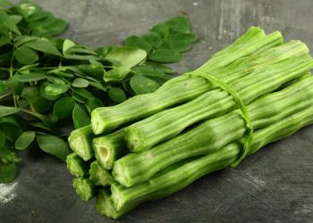 முருங்கைக்காயின் விலையில் வீழ்ச்சி