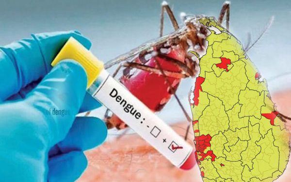 டெங்கு நோயாளர்களின் எண்ணிக்கை தொடர்ந்து அதிகரிப்பு