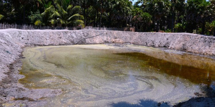 யாழில். குளங்களைத் தூர்வாரும் நடவடிக்கைகள் முன்னெடுப்பு